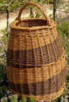 Quince basket